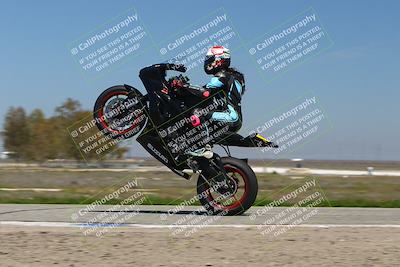 media/Mar-24-2025-2WTD (Mon) [[55b4b08488]]/B Group/1220pm (Wheelie Bump)/
